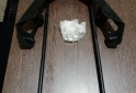 Accesorios para Motos - Parrilla porta equipaje para KTM duke - En Venta