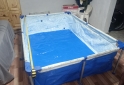 Hogar - Pileta tiburoncito - En Venta