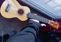Instrumentos Musicales - UKELELE - En Venta