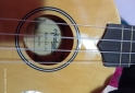 Instrumentos Musicales - UKELELE - En Venta