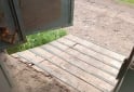 Camiones y Grúas - Transporte para caballos - En Venta