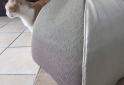 Hogar - Cama Para Gatos Medidas 45 X 45 Cm - En Venta