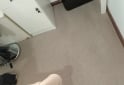 Hogar - Vendo alfombra 36m2 - En Venta