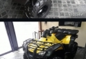 Cuatris y UTVs - Honda HONDA 350 PARRILLERO 2011 4000Km - En Venta