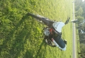 Motos - Motomel Skua 2024 Nafta 250Km - En Venta