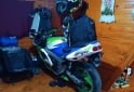 Motos - Kawasaki ZX9R 1995 Nafta 120000Km - En Venta