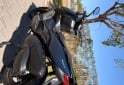 Motos - Zontes 310m 2024 Nafta 7000Km - En Venta
