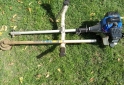 Herramientas - Vendo desmalezadora - En Venta