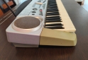 Instrumentos Musicales - Teclado Medeli MC-49 - En Venta