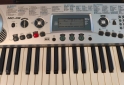 Instrumentos Musicales - Teclado Medeli MC-49 - En Venta