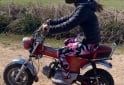 Motos - Honda DAX 2000 Nafta 1500Km - En Venta
