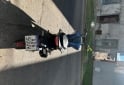 Motos - Honda Cb 300 F 2026 Nafta 5800Km - En Venta