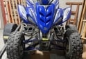Cuatris y UTVs - Yamaha RAPTOR 350 2006 99999Km - En Venta
