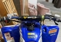 Cuatris y UTVs - Yamaha RAPTOR 350 2006 99999Km - En Venta