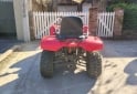 Cuatris y UTVs - Otra marca 054-TVR500 2013  7040Km - En Venta