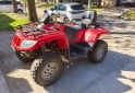 Cuatris y UTVs - Otra marca 054-TVR500 2013  7040Km - En Venta