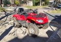 Cuatris y UTVs - Otra marca 054-TVR500 2013  7040Km - En Venta