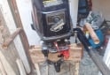 Otros (Náutica) - Motor fuera de borda con carro - En Venta