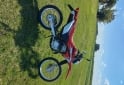 Motos - Honda Tornado XR 250 2017 Nafta 22000Km - En Venta