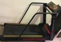Deportes - CINTA CAMINADORA PRO FORM Profesional - En Venta