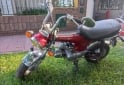 Motos - Honda Dax 1995 Nafta 26000Km - En Venta